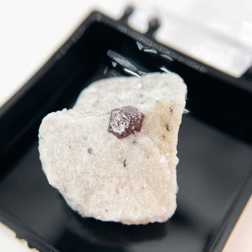 Гранат в породе (Альмандин) в боксе