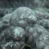 Малахит кристаллический