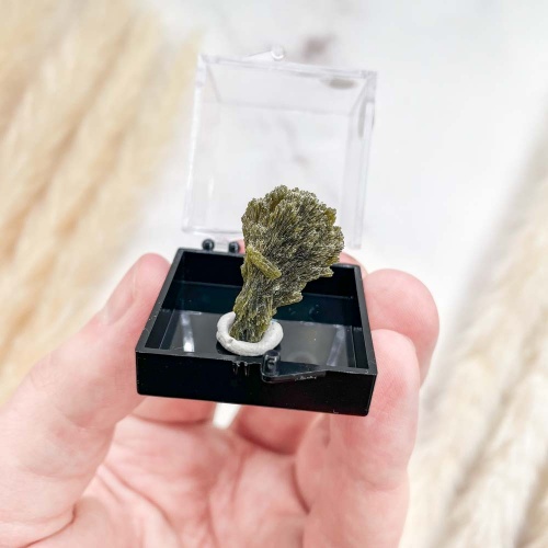 Актинолит в боксе