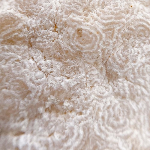 Кварц с напылением