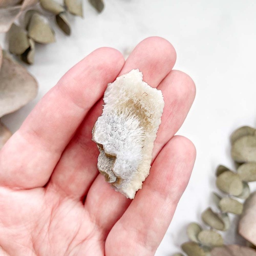 Кальцит - арагонит