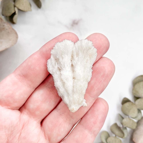 Кальцит - арагонит