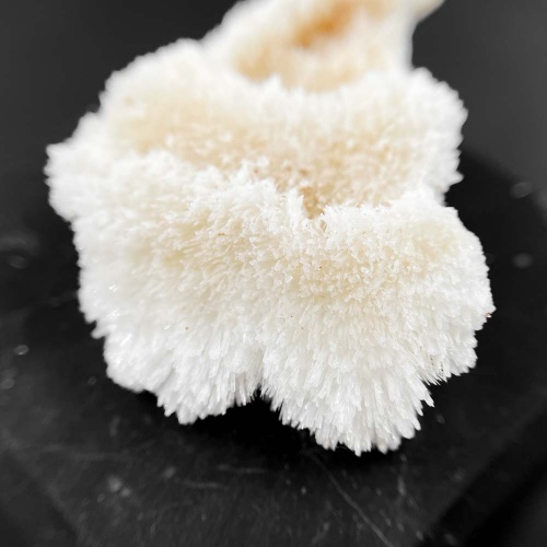 Кальцит - арагонит