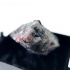 Виллиомит в породе в боксе