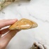 Ёж Pygurus depressus