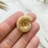 Аммонит Perisphinctes