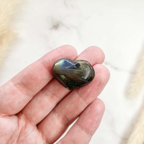 Сердце из лабрадора