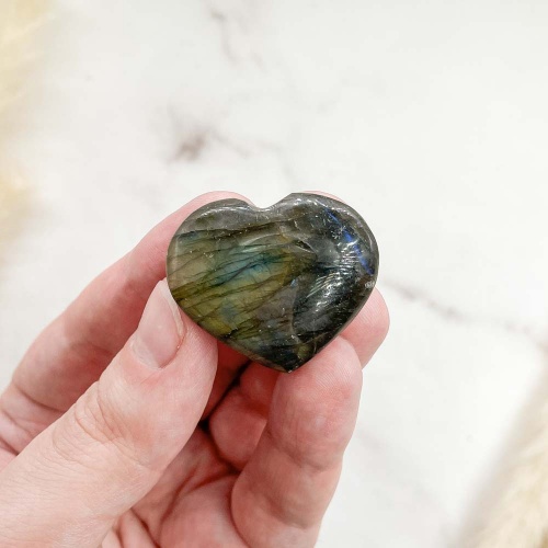 Сердце из лабрадора