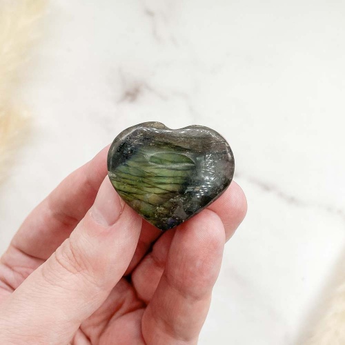 Сердце из лабрадора