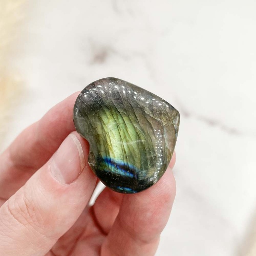 Сердце из лабрадора