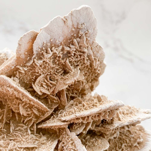 Гипсовая роза