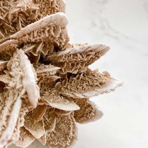 Гипсовая роза