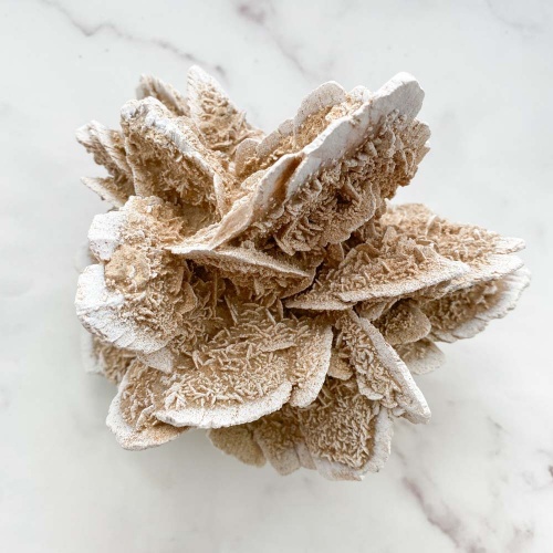 Гипсовая роза