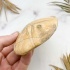 Морской Ёж Pygurus depressus
