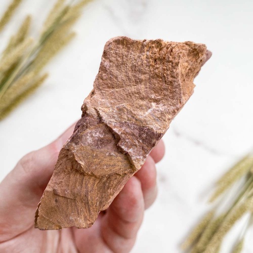 Строматолит Jurusania