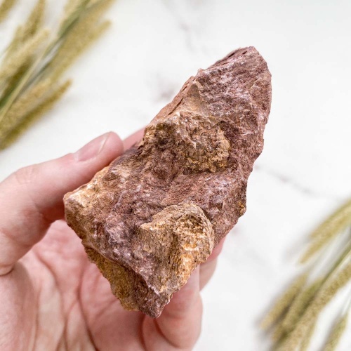 Строматолит Jurusania