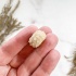 Морской Еж Goniopygus sp