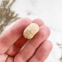 Морской Еж Goniopygus sp