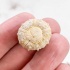 Морской Еж Goniopygus sp
