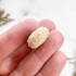 Морской Еж Goniopygus sp