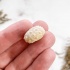 Морской Еж Goniopygus sp