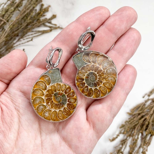 Серьги из аммонитов Cleoniceras sp.