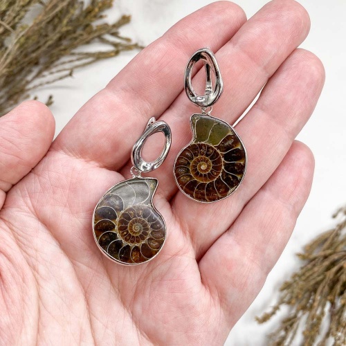 Серьги из аммонитов Cleoniceras sp.