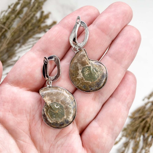 Серьги из аммонитов Cleoniceras sp.